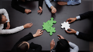 finance team